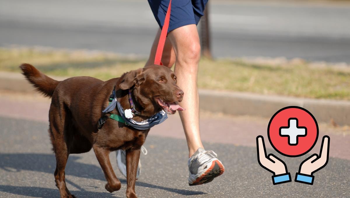 El ejercicio que si conviertes en una hábito te ayudará a mejorar tu salud